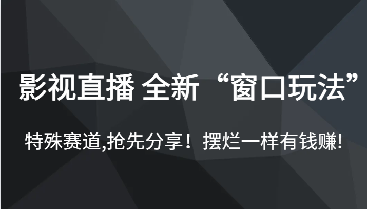 影视直播 全新“窗口玩法”，特殊赛道,抢先分享！摆烂一样有钱赚!-大海创业网