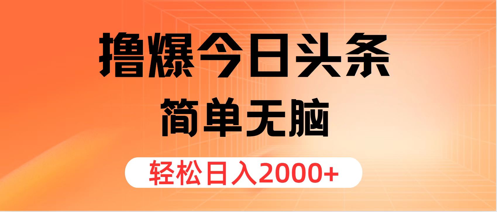 （11849期）撸爆今日头条，简单无脑，日入2000+-大海创业网