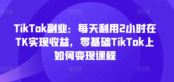 TikTok副业：每天利用2小时在TK实现收益，零基础TikTok上如何变现课程-大海创业网