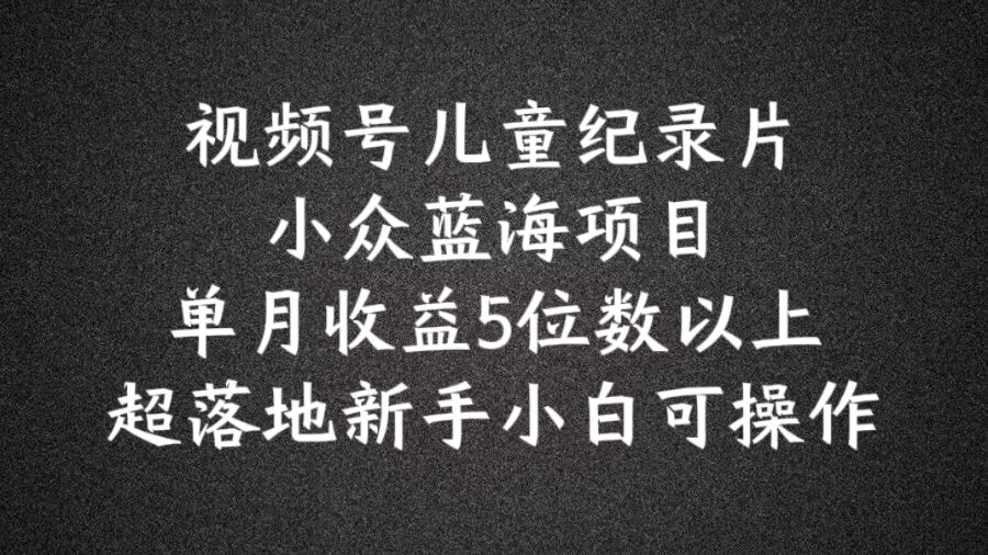 2024蓝海项目视频号儿童纪录片科普，单月收益5位数以上，新手小白可操作-大海创业网